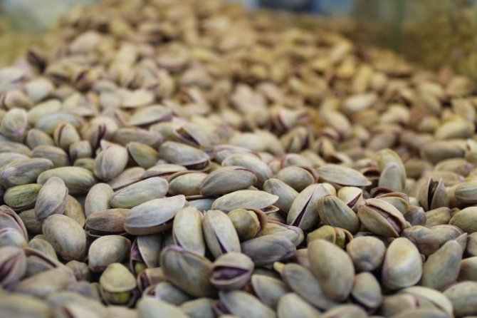 Yeni Yıla 11 Gün Kaldı, Vatandaşların Tercihi Bu Ürünler Oldu