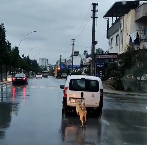 Mersin’de Tepki Çeken Görüntü