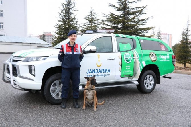 Jandarma Hayvan Koruma Timi Görev Başında
