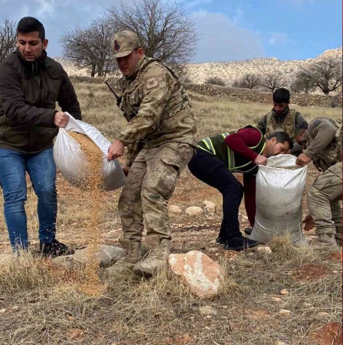 Siirt’te Yaban Hayvanları İçin Doğaya Yem Bırakıldı