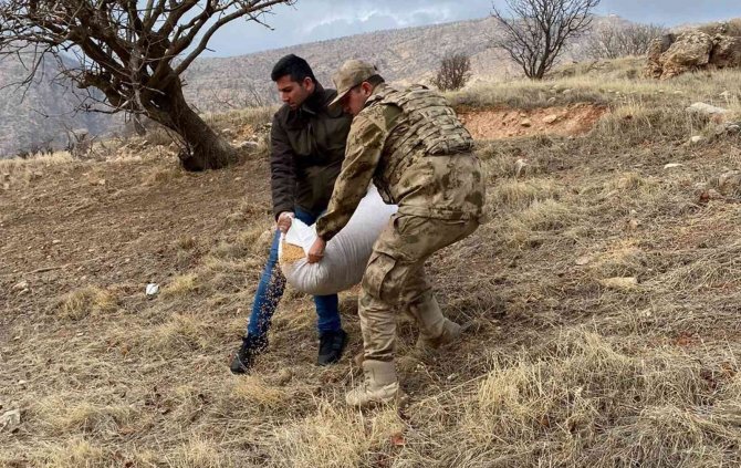 Siirt’te Yaban Hayvanları İçin Doğaya Yem Bırakıldı