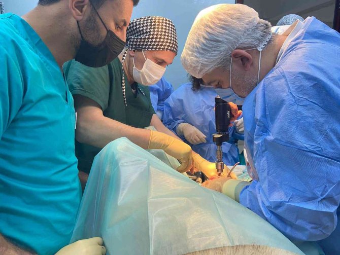 Sokak Hayvanlarına Kırık Ve Çıkık Tedavisi