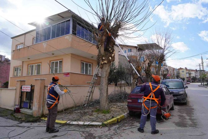 Altıeylül’de Yeşil Alan Ve Parklarda Kış Hazırlığı