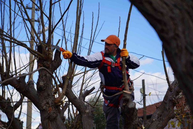 Altıeylül’de Yeşil Alan Ve Parklarda Kış Hazırlığı