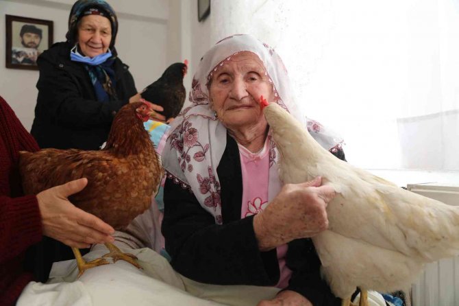 96 Yaşındaki Hasta Annelerine Tavuklu Moral