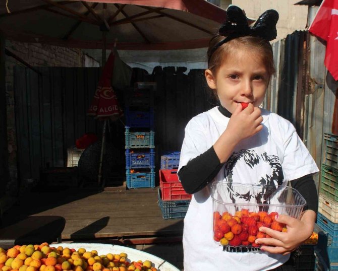 Dağ Çileğine Büyük İlgi