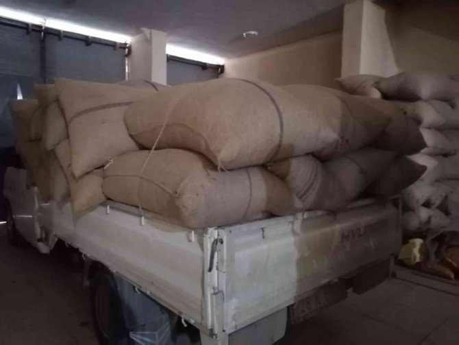 Döviz Kurunda Yaşanan Düşüş Fındık Fiyatını Da Etkiledi