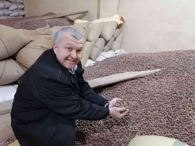 Döviz Kurunda Yaşanan Düşüş Fındık Fiyatını Da Etkiledi