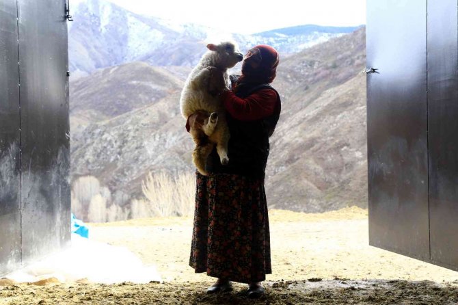 Gümüşhaneli Kadınlar Bileziklerini Bozdurup Hayvancılığa Yatırım Yaptı