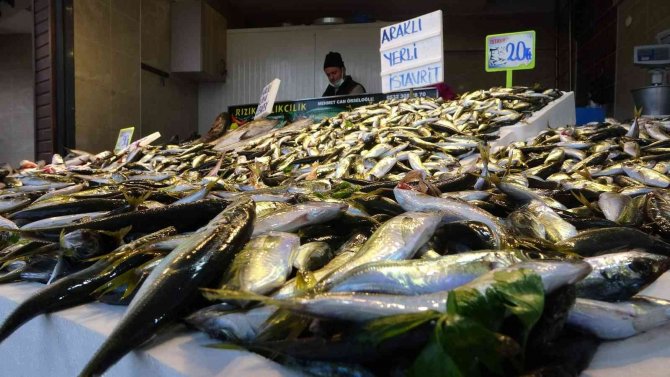 Balık Av Sezonunun Yarısına Gelindiğinde Hamsi Kayıplara Karıştı