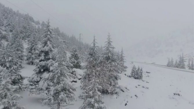 Beyaz Gelinlikli Orman Drone İle Görüntülendi