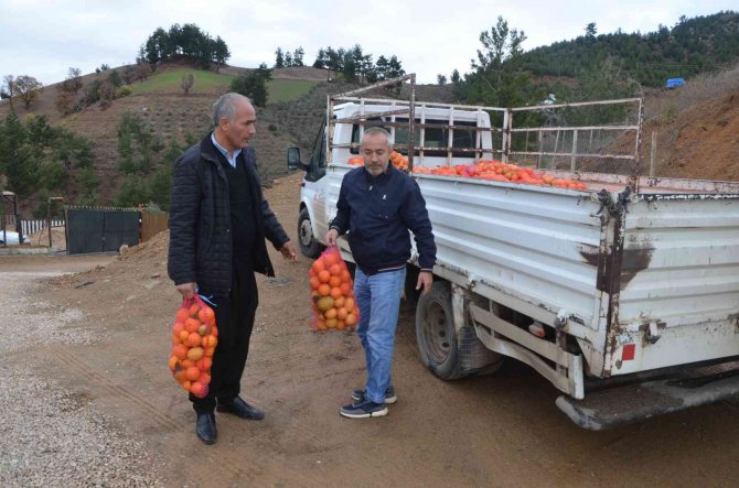 Köylülere Narenciye Dağıtıldı
