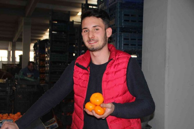 Bağışıklık Sistemine Güçlendiren Mandalinaya Talep Yüksek