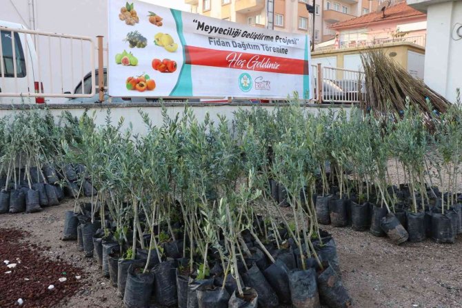 Manisalı Üreticilere Fidan Desteği Devam Ediyor
