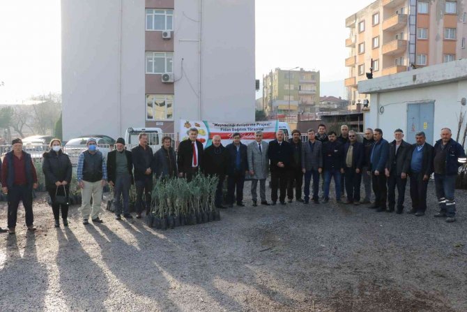 Manisalı Üreticilere Fidan Desteği Devam Ediyor