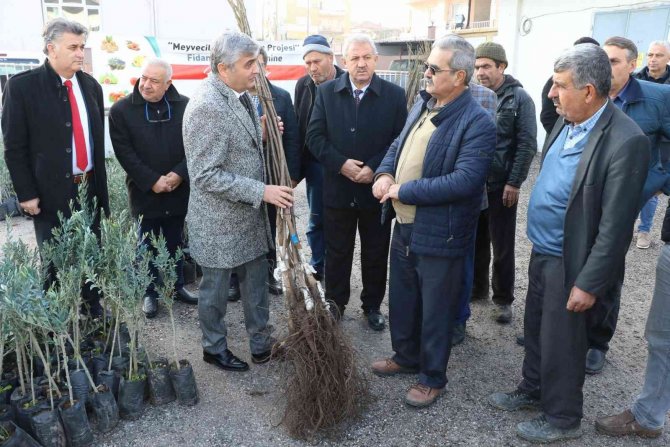 Manisalı Üreticilere Fidan Desteği Devam Ediyor