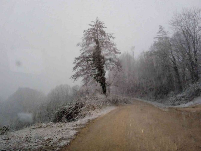 Kumru Beyaza Büründü