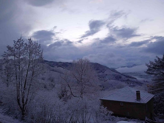 Kumru Beyaza Büründü