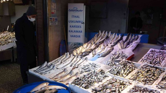 Balık Av Sezonunun Yarısına Gelindiğinde Hamsi Kayıplara Karıştı