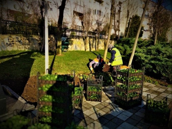Maltepe’de Park Ve Bahçelere Son Dokunuşlar Yapılıyor