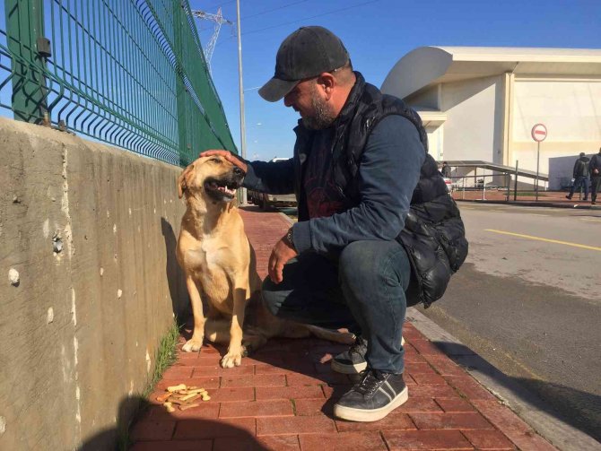 Can Dosttan Yarasını Tedavi Eden Sağlık Çalışanına Vefa
