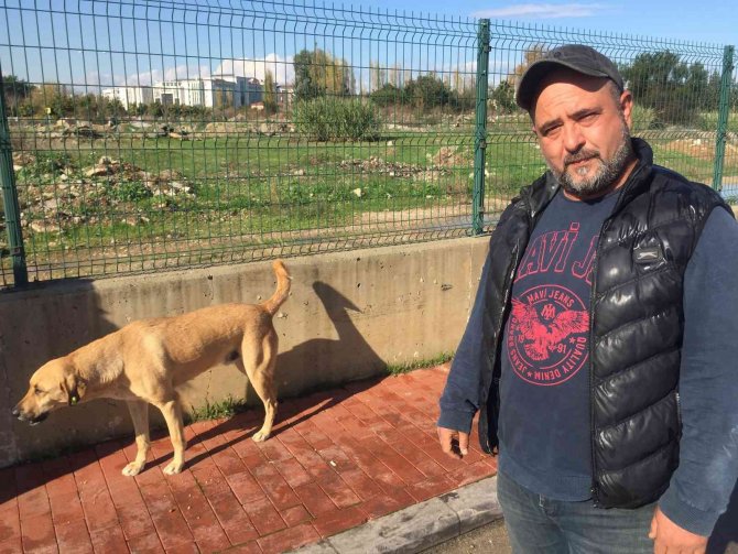 Can Dosttan Yarasını Tedavi Eden Sağlık Çalışanına Vefa