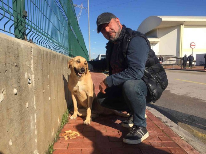 Can Dosttan Yarasını Tedavi Eden Sağlık Çalışanına Vefa