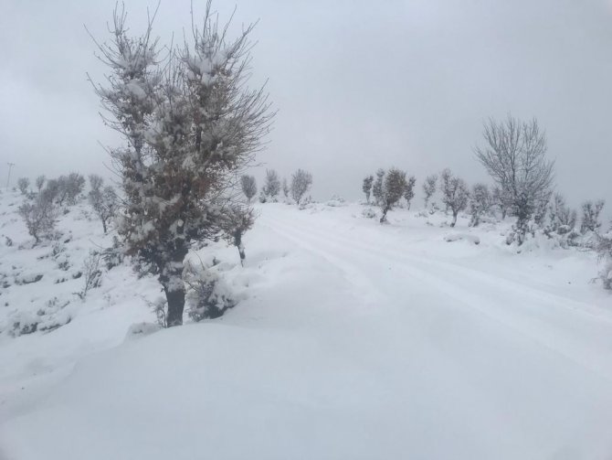 Batman’da Sağlıkçılar 7 Saat Sonra Doğum Sancısı Tutan Hastaya Ulaştı, Bebeğe Sağlıkçının İsmi Verildi