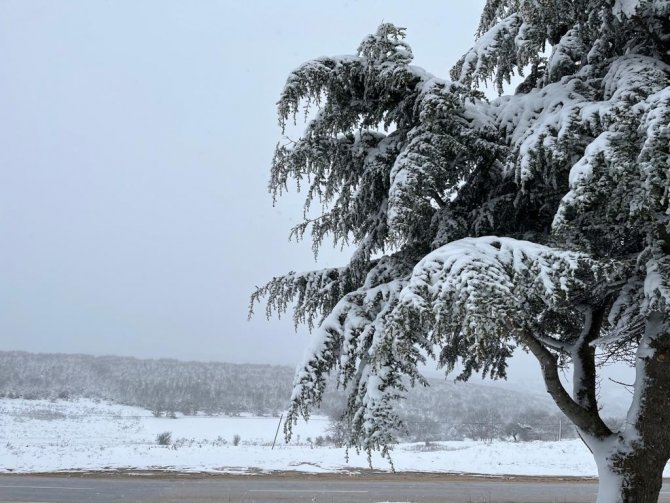 Eskişehir’de Hava Sıcaklığı Sıfırın Altına Düştü