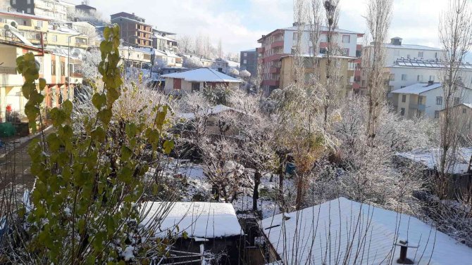 Kulp’ta Mevsimin İlk Karı Yağışıyla Eğitime 1 Gün Ara Verildi