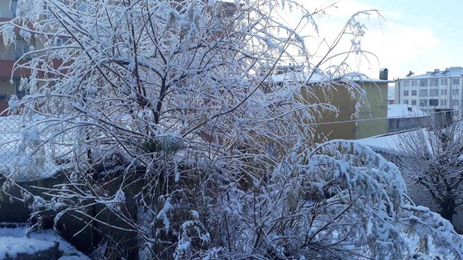 Kulp’ta Mevsimin İlk Karı Yağışıyla Eğitime 1 Gün Ara Verildi