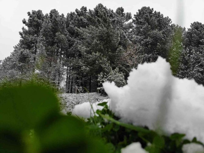 Düzce’nin Kar Manzarası Mest Etti