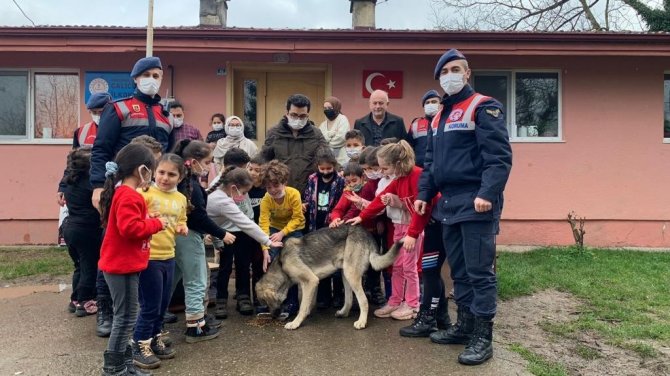Jandarma Ekipleri Ve Öğrenciler Sokak Hayvanları İçin Seferber Oldu
