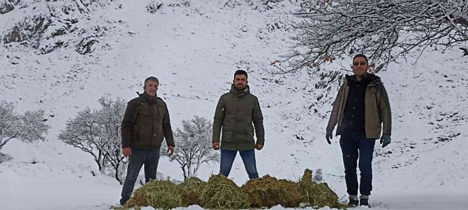 Yaban Hayvanlarına Yem Desteği
