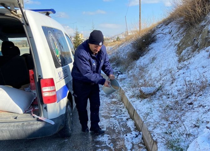 Sungurlu’da Sokak Hayvanları Unutulmadı