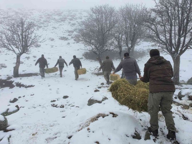 Karaman’da Yaban Hayvanlarına Yem Desteği