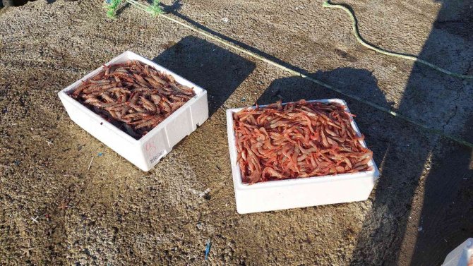 ’Devletin Yanındayız’ Diyerek Çarkı Çevirmeye Devam Ediyorlar