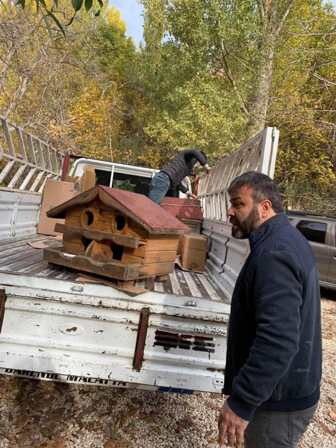 Kış Öncesi Sokak Kedilerine Şefkat Eli