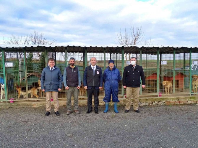 Köpek Eğitim Ve Papağan Üretim Merkezleri Ruhsatlandırıldı