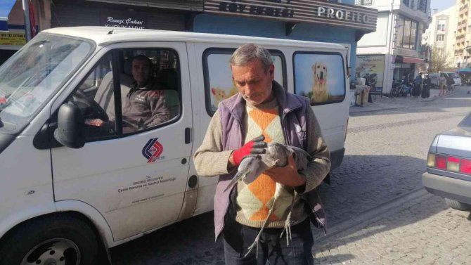 Yaralı Kuşa Belediye Ekipleri Sahip Çıktı