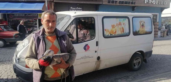 Yaralı Kuşa Belediye Ekipleri Sahip Çıktı