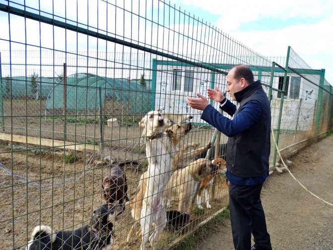 Köpek Eğitim Ve Papağan Üretim Merkezleri Ruhsatlandırıldı