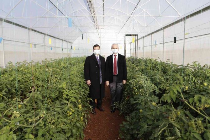 Ürüne Özgü Sera Plastiği Çalışmalarında İlk Hasat Heyecanı