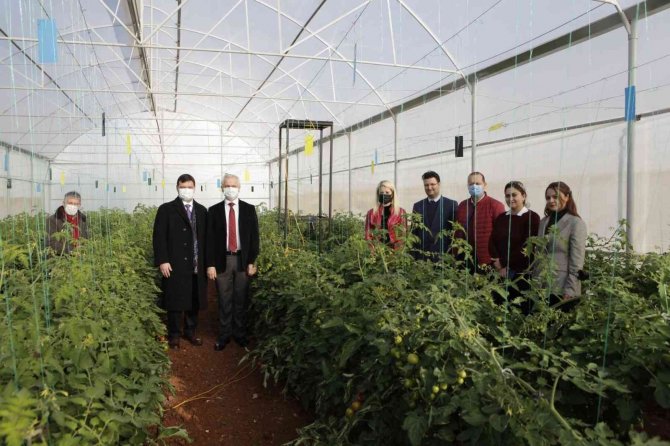 Ürüne Özgü Sera Plastiği Çalışmalarında İlk Hasat Heyecanı