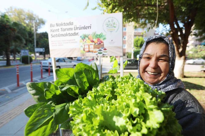 Profesör De İş İnsanı Da Doktor Da Pazarda Sebze Satıyor