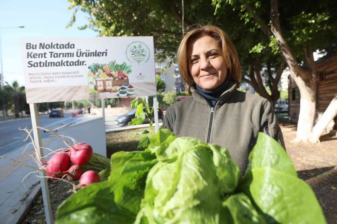 Profesör De İş İnsanı Da Doktor Da Pazarda Sebze Satıyor