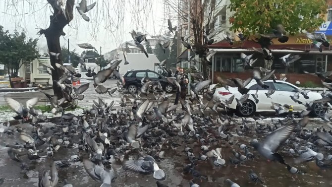 Kar Nedeniyle Aç Kalan Güvercinlerin Yardımına Polis Ekipler Koştu
