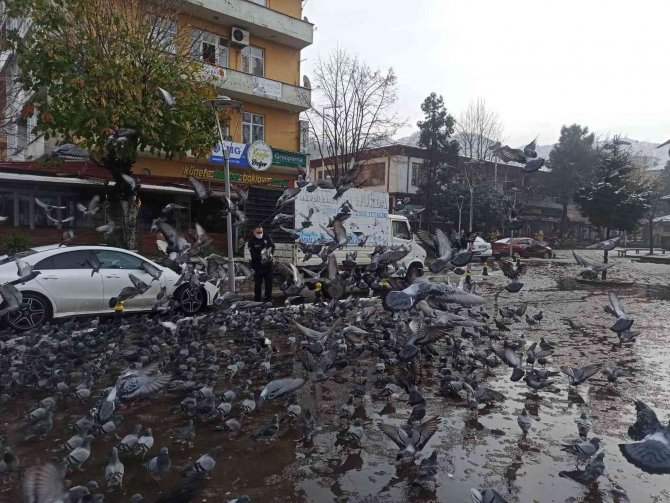 Kar Nedeniyle Aç Kalan Güvercinlerin Yardımına Polis Ekipler Koştu