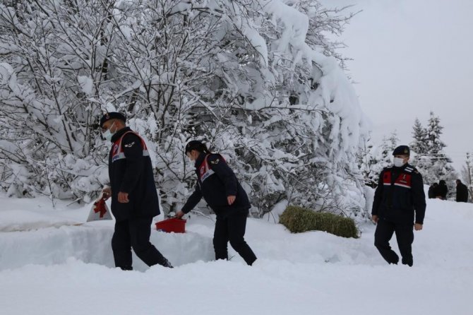 Artvin’de Yaban Hayatı İçin Doğaya Yem Bırakıldı