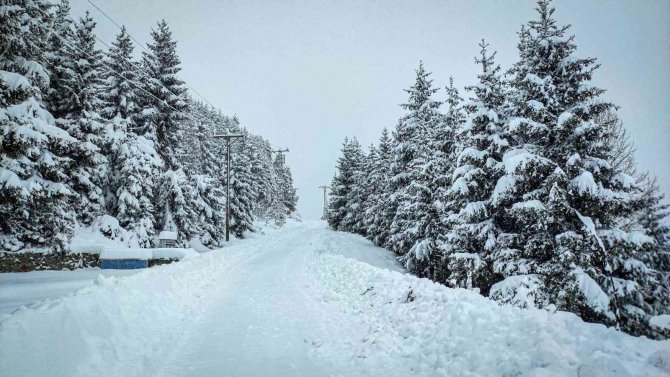 Sakin Şehir Şavşat’dan Kartpostallık Kar Manzaraları